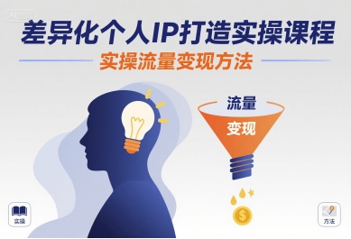 差异化个人IP打造实操课程,实操流量变现方法